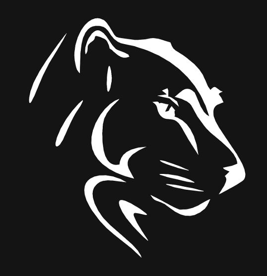 Modern Tiger Head Metal Wall Art – CNC Plasma, Laser & Waterjet Cut Design | DXF, STL & PDF Files Included